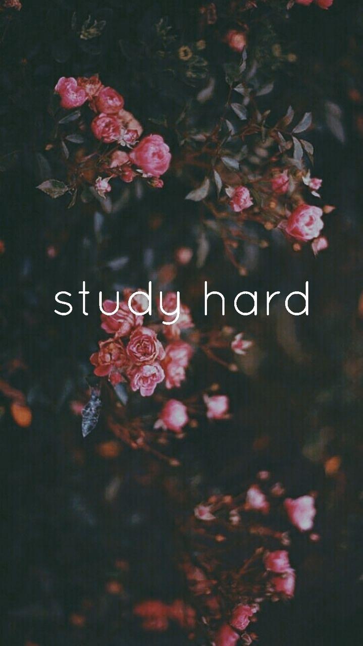 719x1280 Study Motivation Wallpaper
