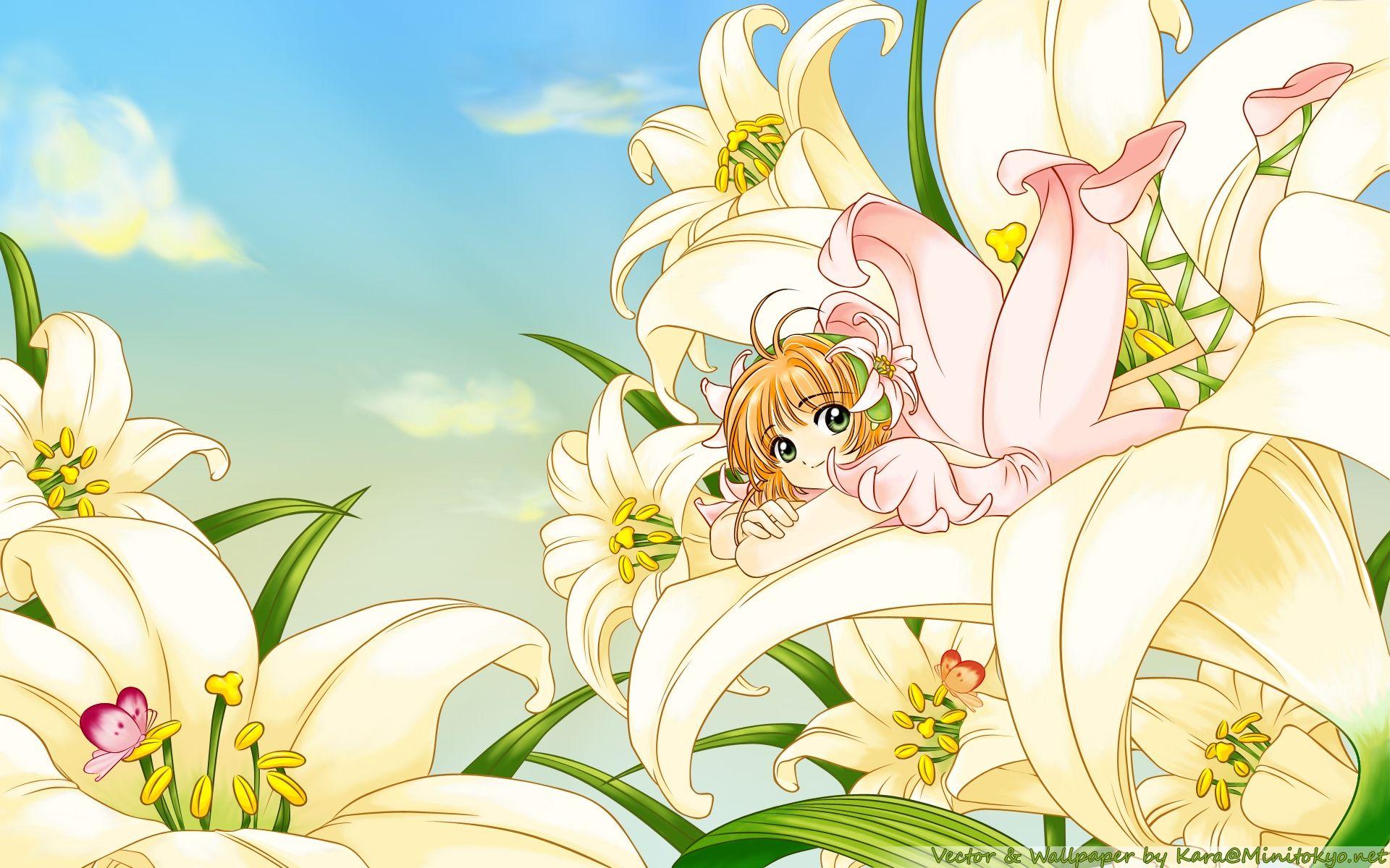 1920x1200 clamps cardcaptor sakura 1920x1200 wallpaper
