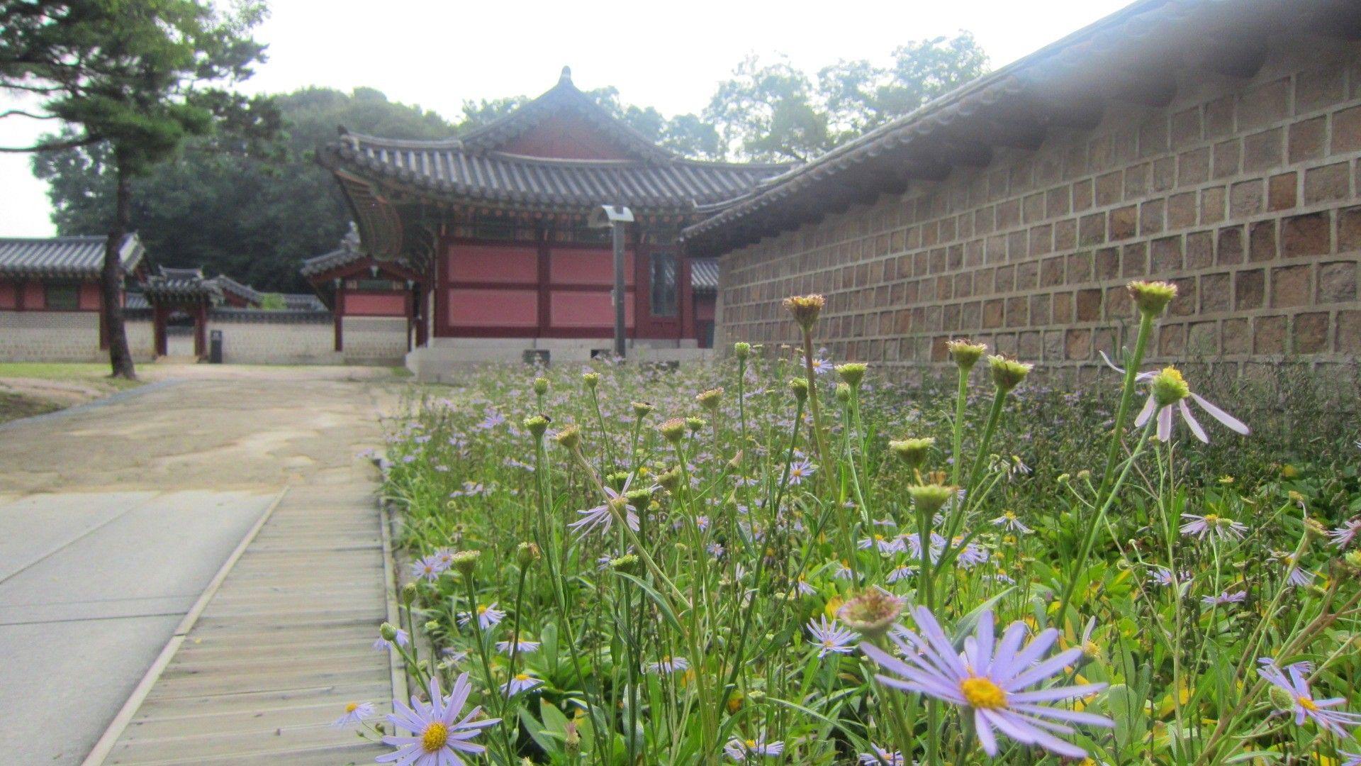 1920x1080 Changdeokgung Tag wallpaper: Changdeokgung Palace Historic Heritage