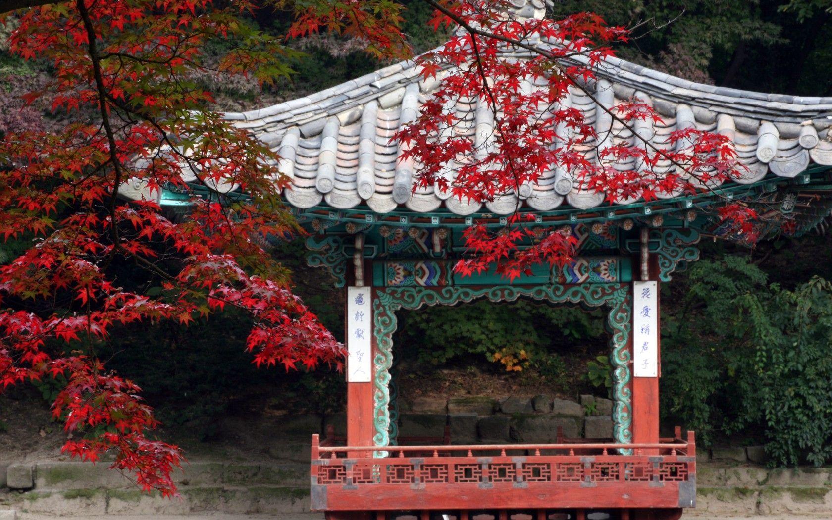1680x1050 Things not to miss in South Korea