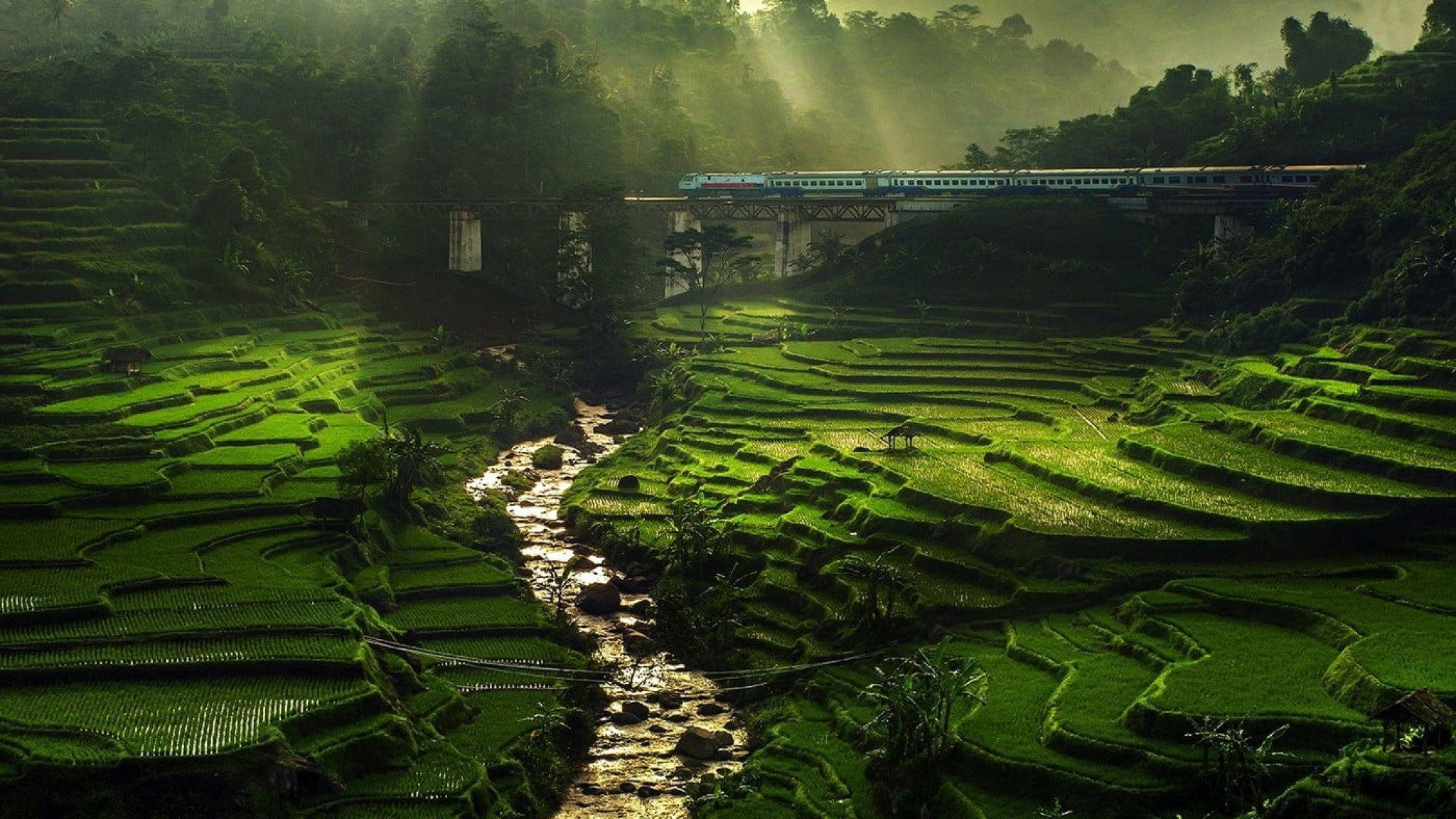 2048x1152 Hill landscape wallpaper, nature, rice paddy, river, sun rays, field, terraces • Wallpaper For You HD Wallpaper For Desktop & Mobile
