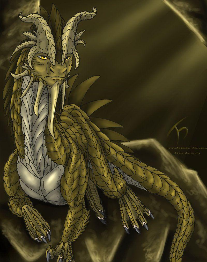 800x1010 of the Bronze Dragon