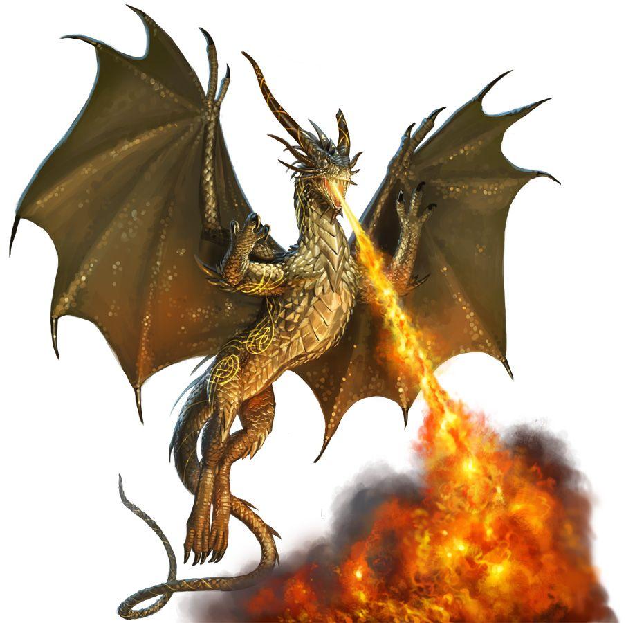 Bronze Dragon Wallpapers Top Free Bronze Dragon Backgrounds