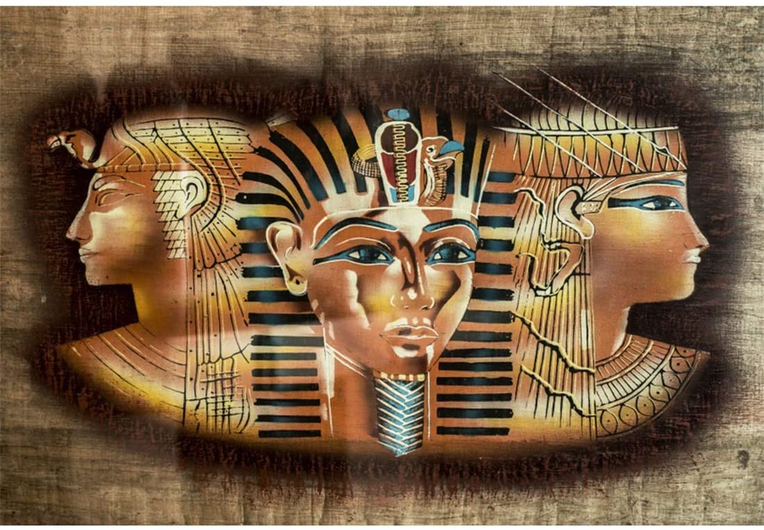 1100x764 Amazon.com : The Egyptian Mural Backdrop Yeele 5x3ft Photography Background Egypt Ancient Religion Nefertiti Tutankhamun History Culture Home Decor Photo Backdrop Portrait Shooting Studio Props Wallpaper : Camera & Photo