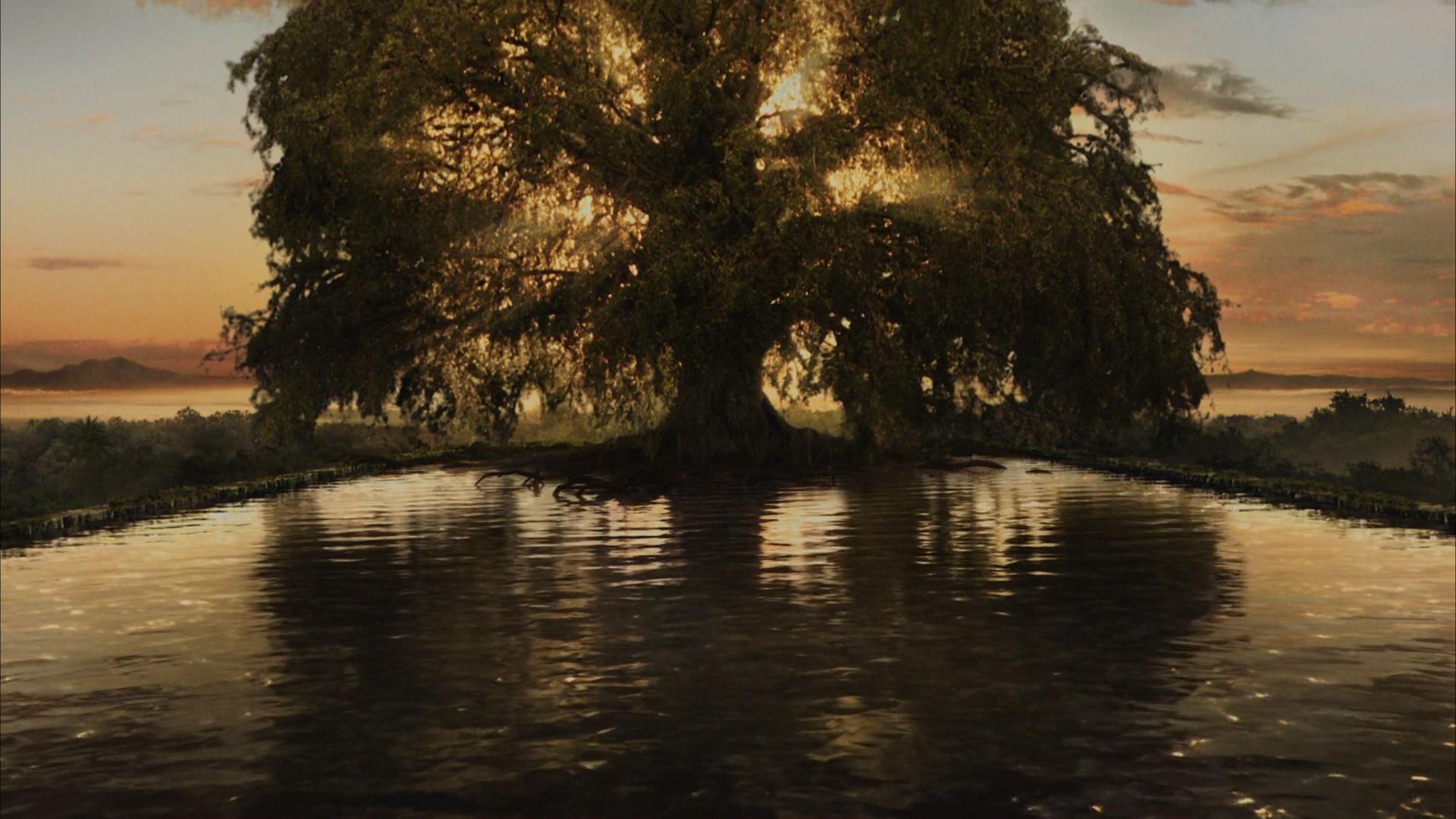 1920x1080 The Fountain 348