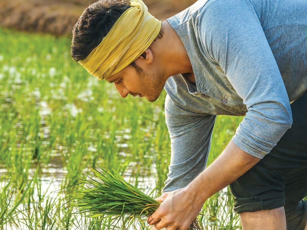 1024x768 Maharshi HQ Movie Wallpaper. Maharshi HD Movie Wallpaper
