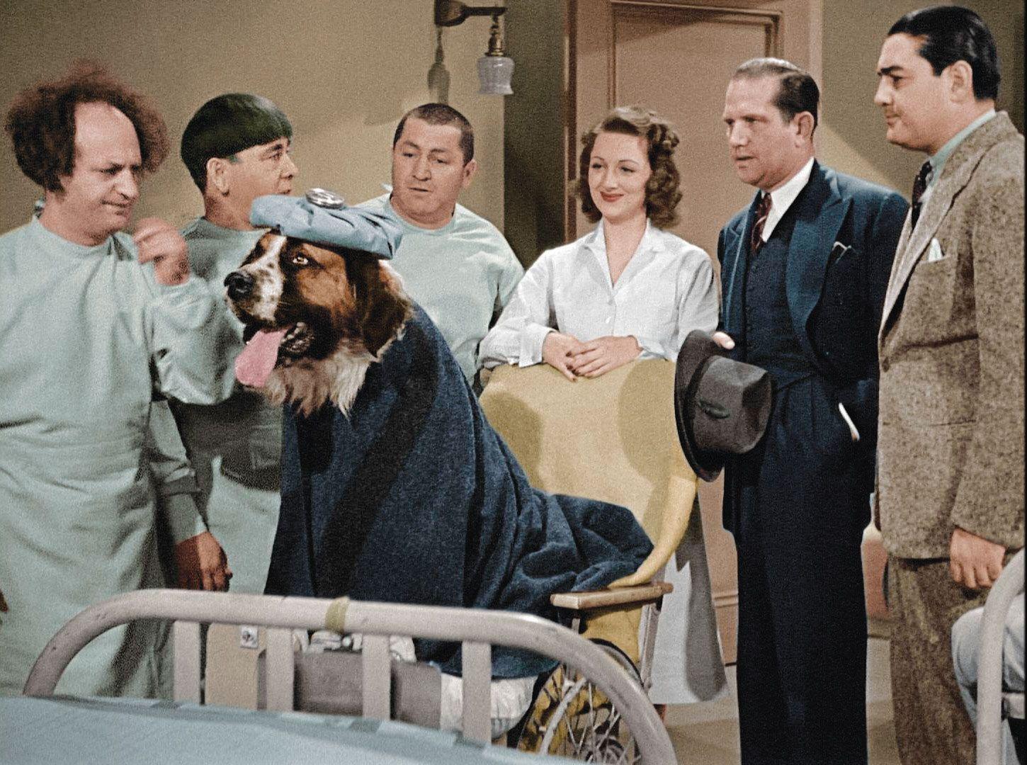 1450x1080 Three Stooges Wallpaper Stooges Photo