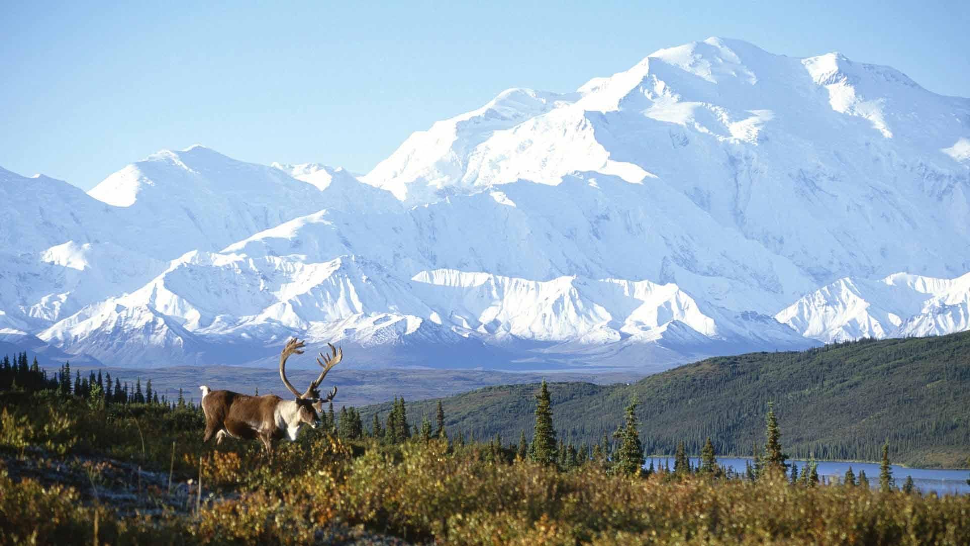 1920x1080 Top Places to visit in Beautiful Alaska. Denali national park, Alaska wallpaper, Denali national park alaska