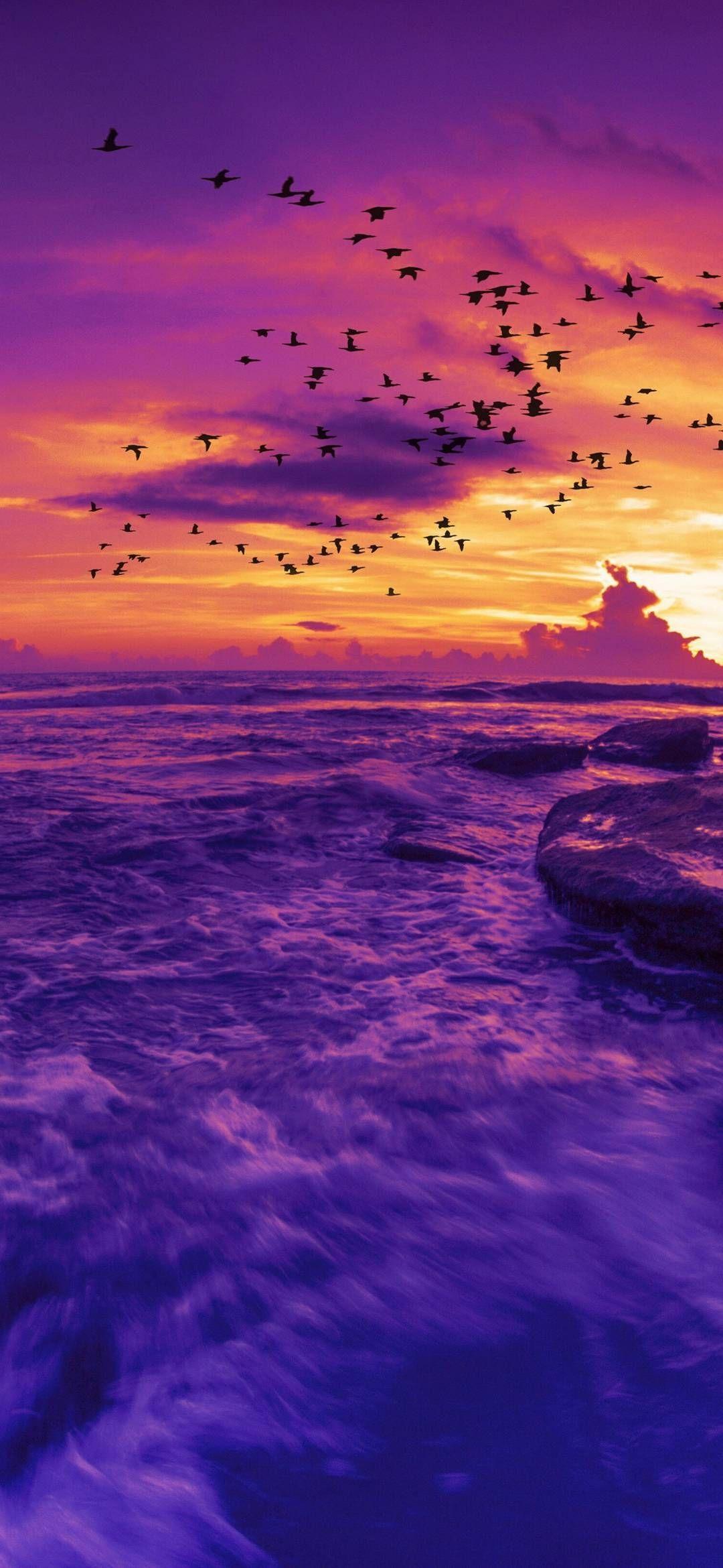 1080x2340 Wallpaper 095