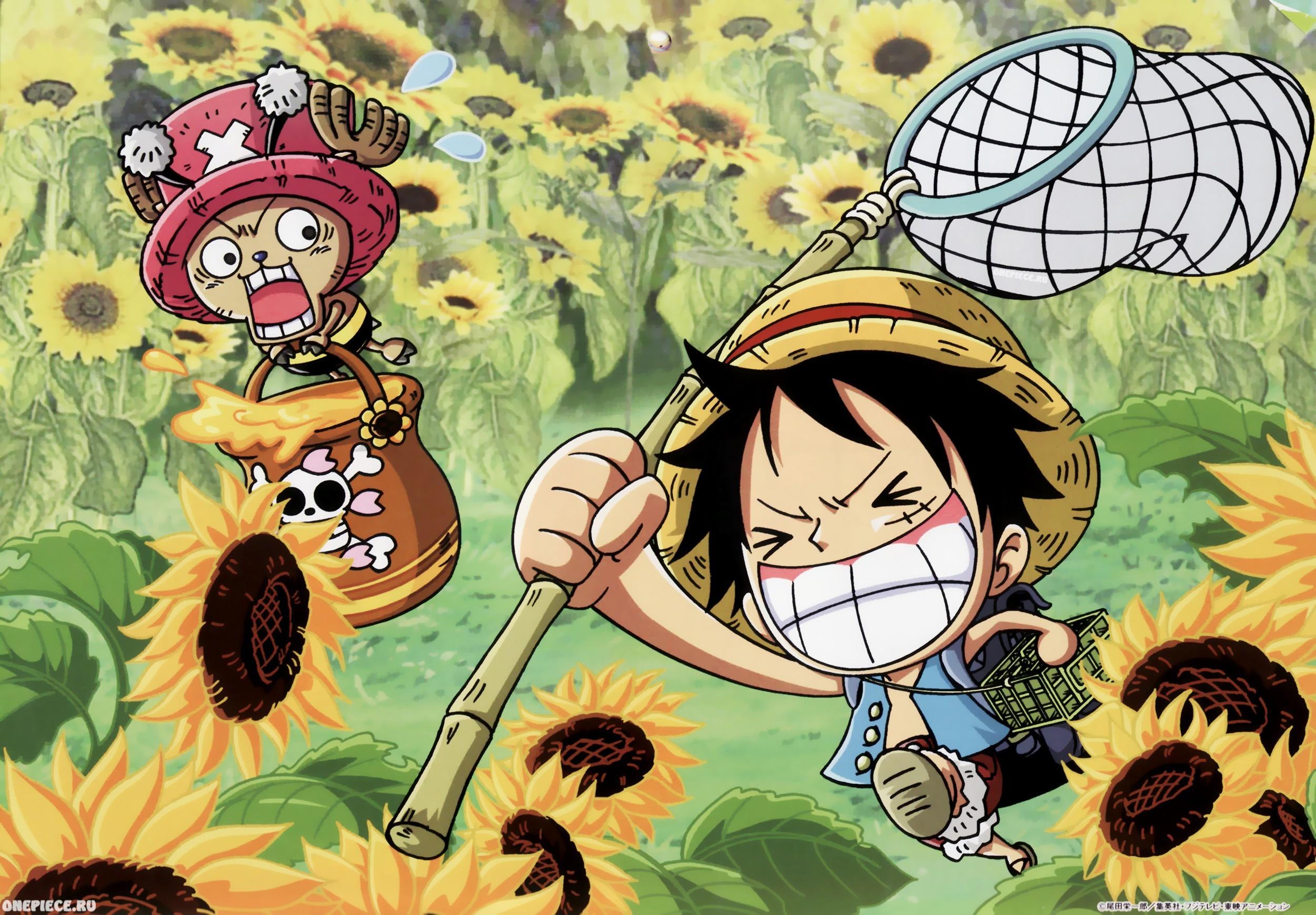 2500x1739 Funny One Piece Data Src Download Free Chopper One Piece Luffy Wallpaper HD HD Wallpaper