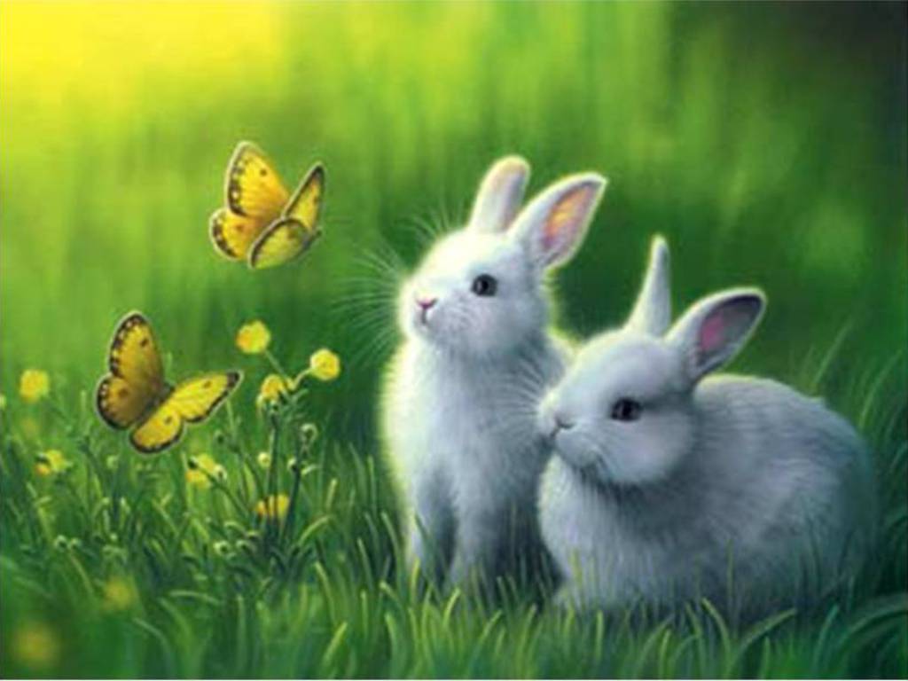 Cool Rabbit Wallpapers - Top Free Cool Rabbit Backgrounds - WallpaperAccess