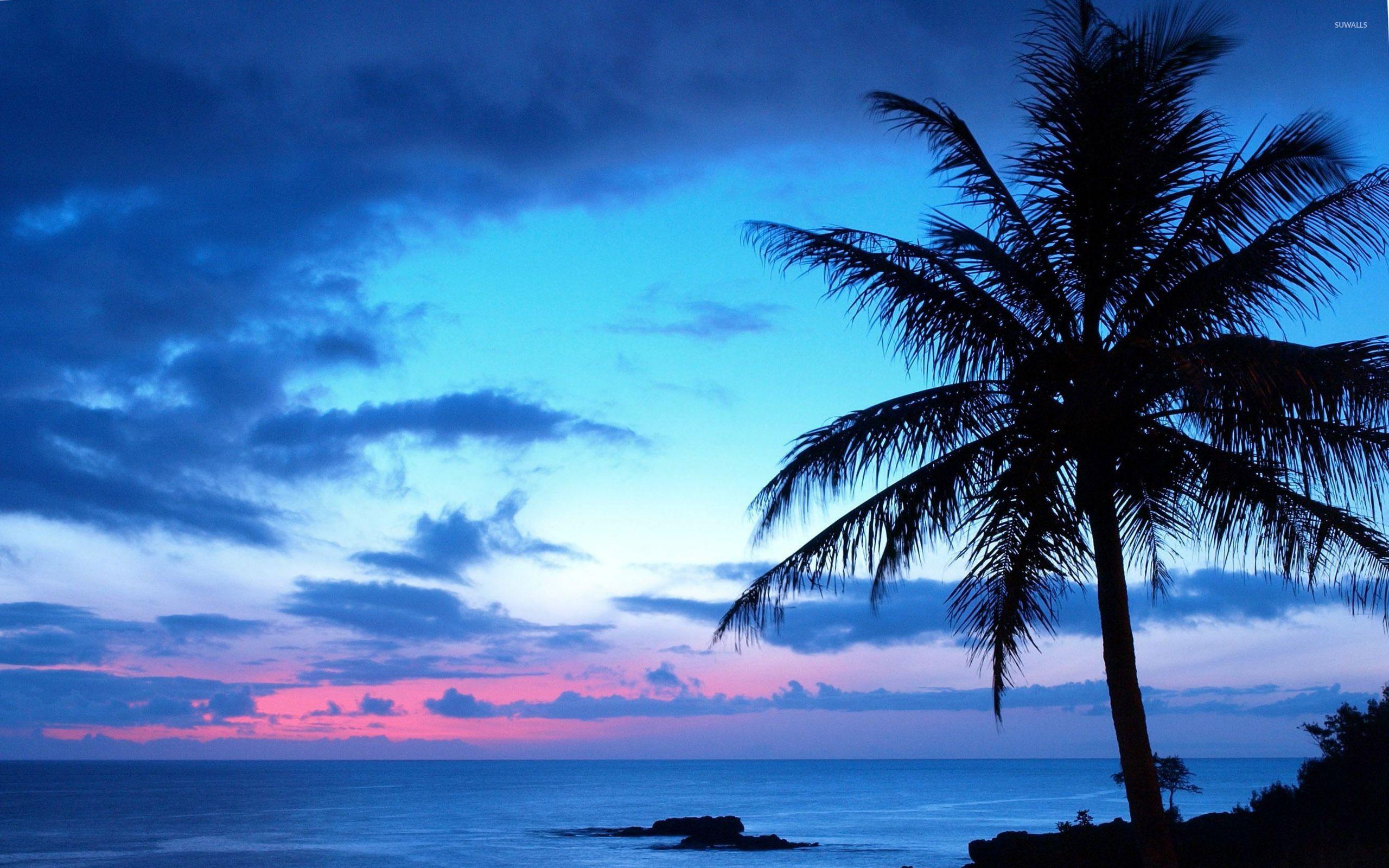 2560x1600 Beach Sunset Wallpaper Blue