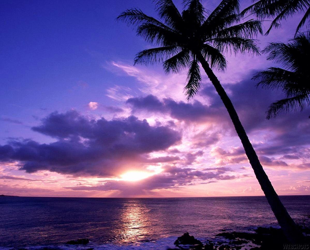 1199x970 Unique Beach Sunset Background This Week