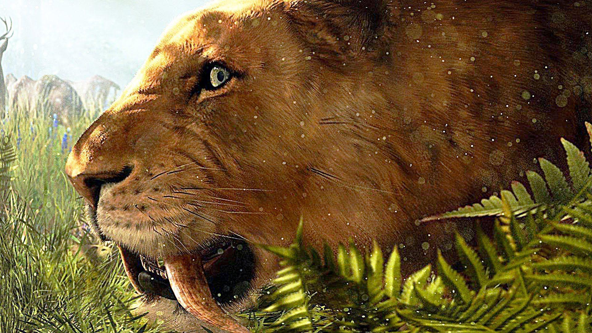 1920x1080 Saber Tooth Tiger Wallpaper HD