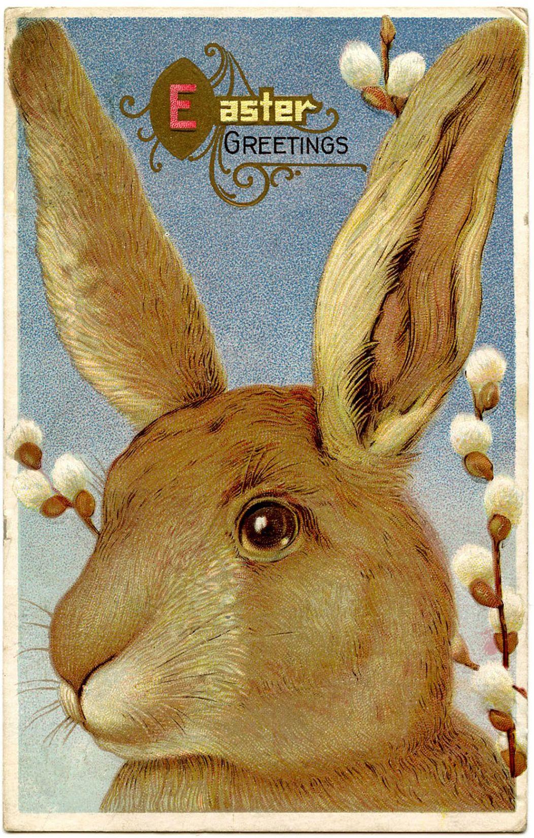 1052x1650 Easter Bunny Image Free! Graphics Fairy