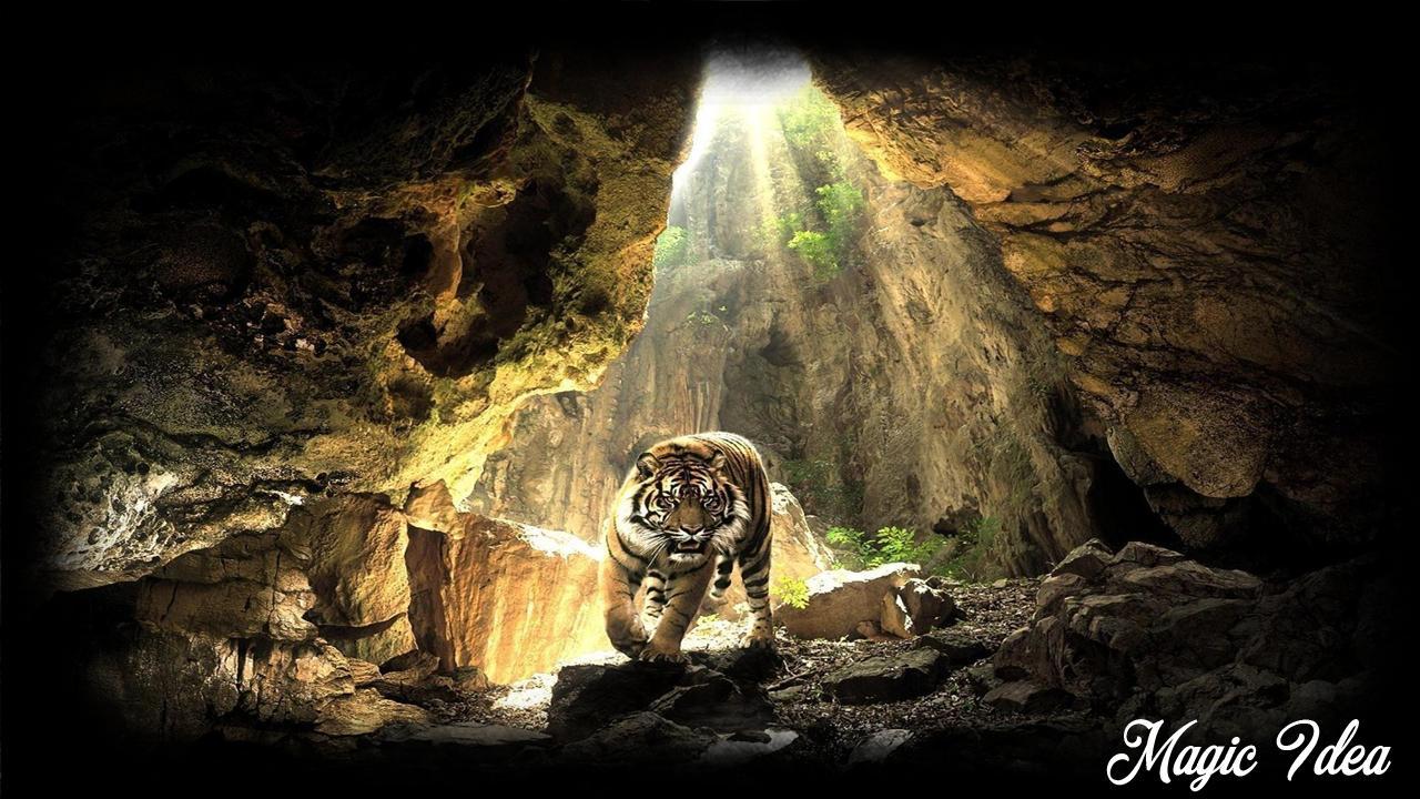 1280x720 Saber Tooth Wallpaper for Android