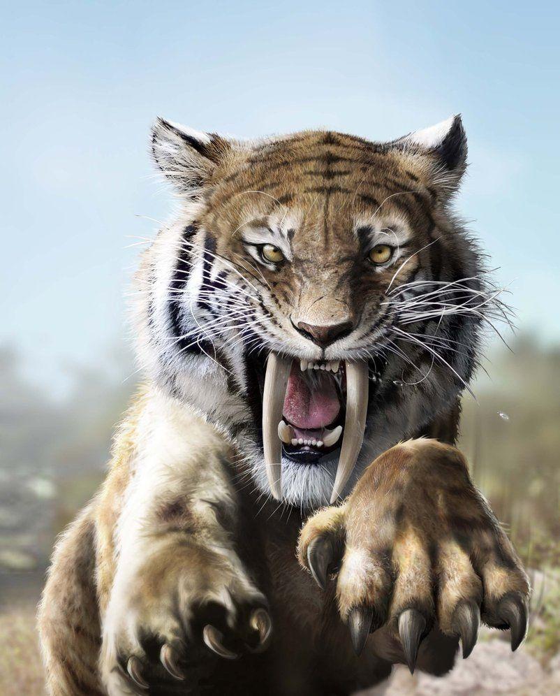 802x996 Sabertooth Smilodon Fatalis Art by Jubran. Prehistoric animals, Animals, Animals beautiful