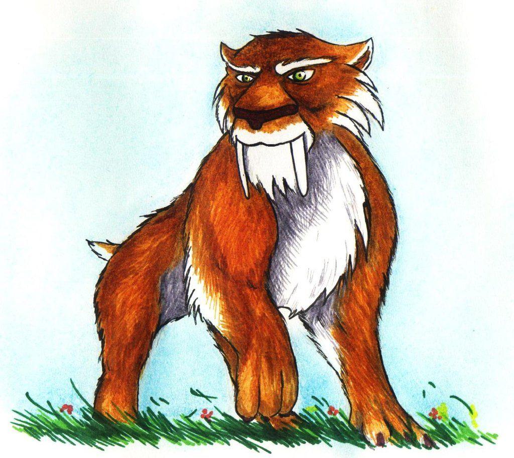 1024x913 Drawing Of A Saber Tooth Tiger Sabre Tooth Tiger Coloring Age Tiger Drawing