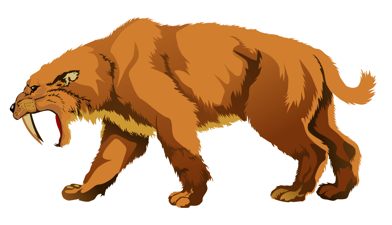 1644x946 Free download Saber Tooth Tiger Picture The sabre toothed cat is often [1644x946] for your Desktop, Mobile & Tablet. Explore Saber Tooth Tiger Wallpaper. Saber Tooth Tiger Wallpaper, Saber