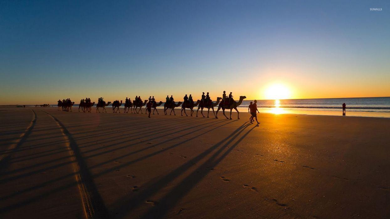 1244x700 Camel caravan sandy beach water sea ocean sky sunset beaches wallpaperx1080