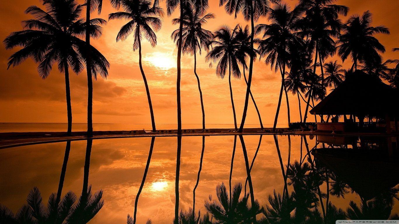 1366x768 Beach Sunset Background. Bed Room Designs. Design Trends PSD, Vector Downloads