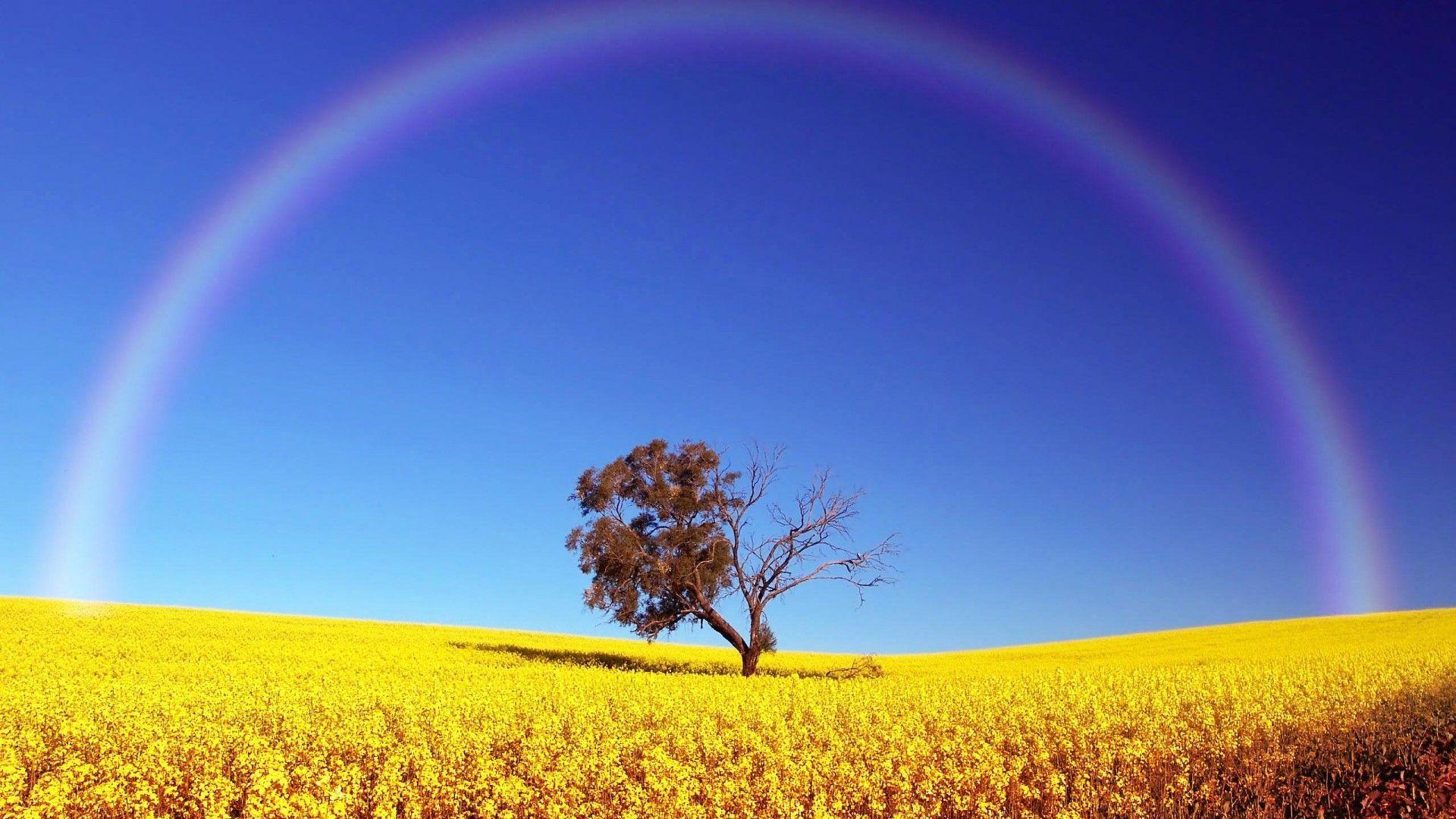 1920x1080 Rainbow. HD Wallpaper. Picture. Image