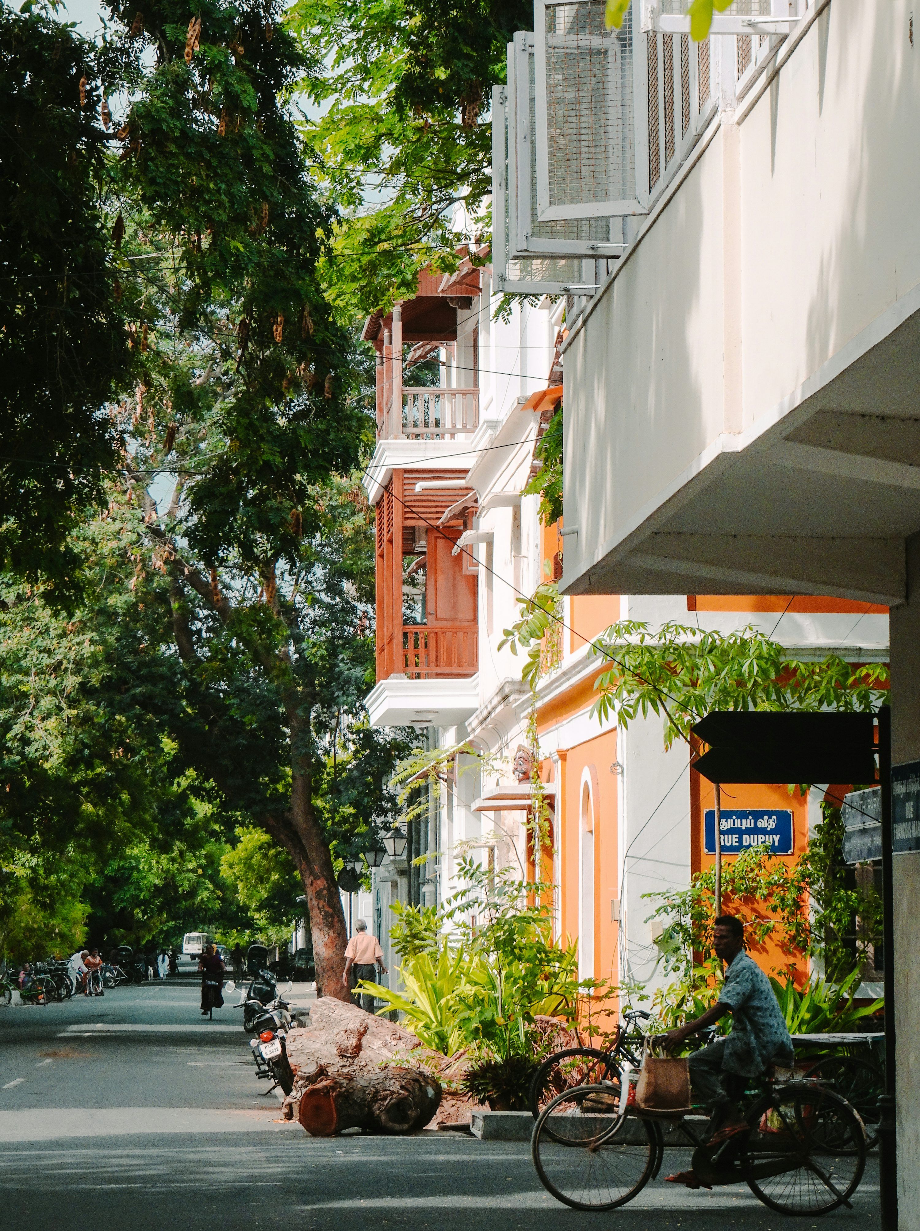 3000x4012 Pondicherry Picture. Download Free Image