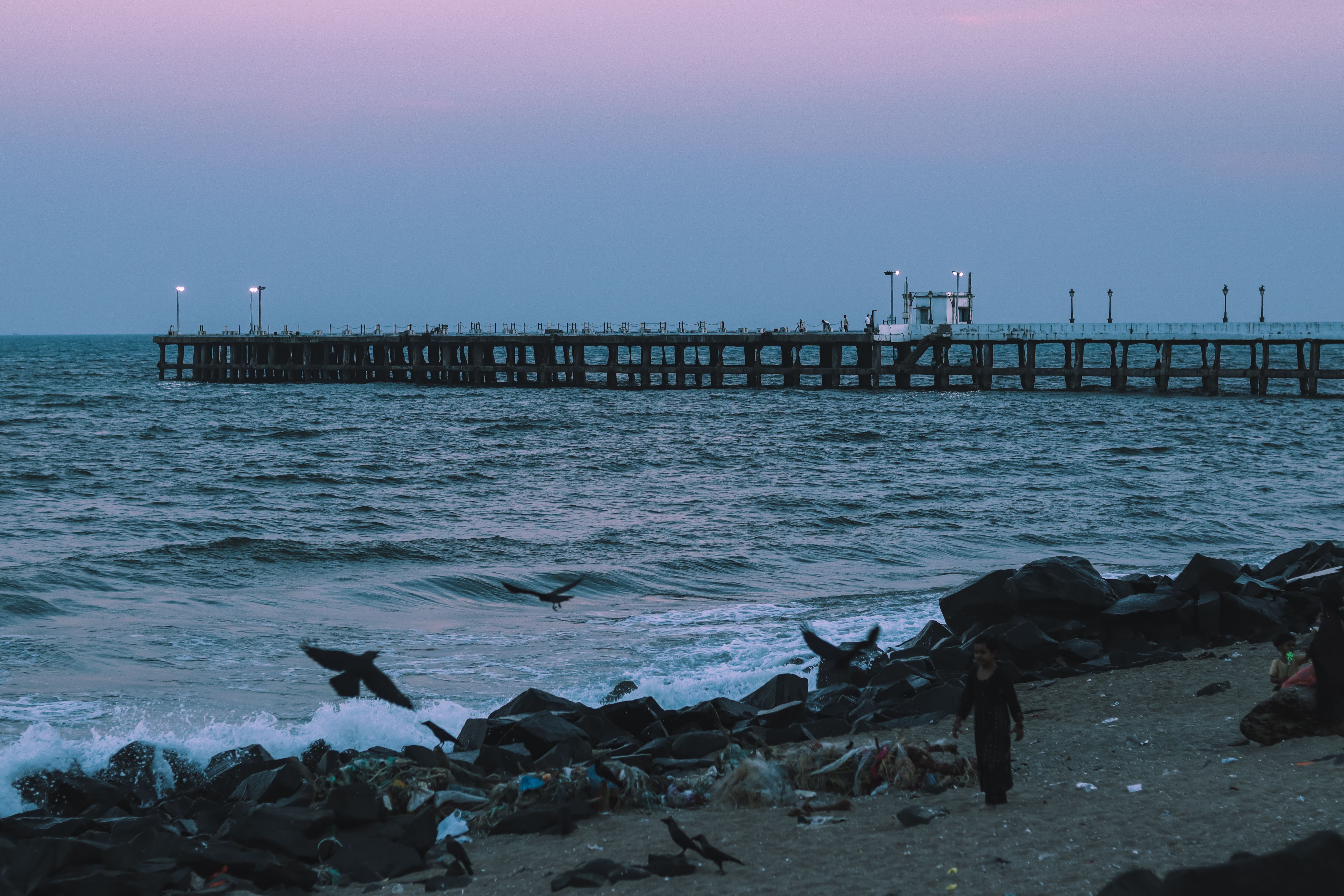 6000x4000 Pondicherry Beach Photo, Download The BEST Free Pondicherry Beach & HD Image