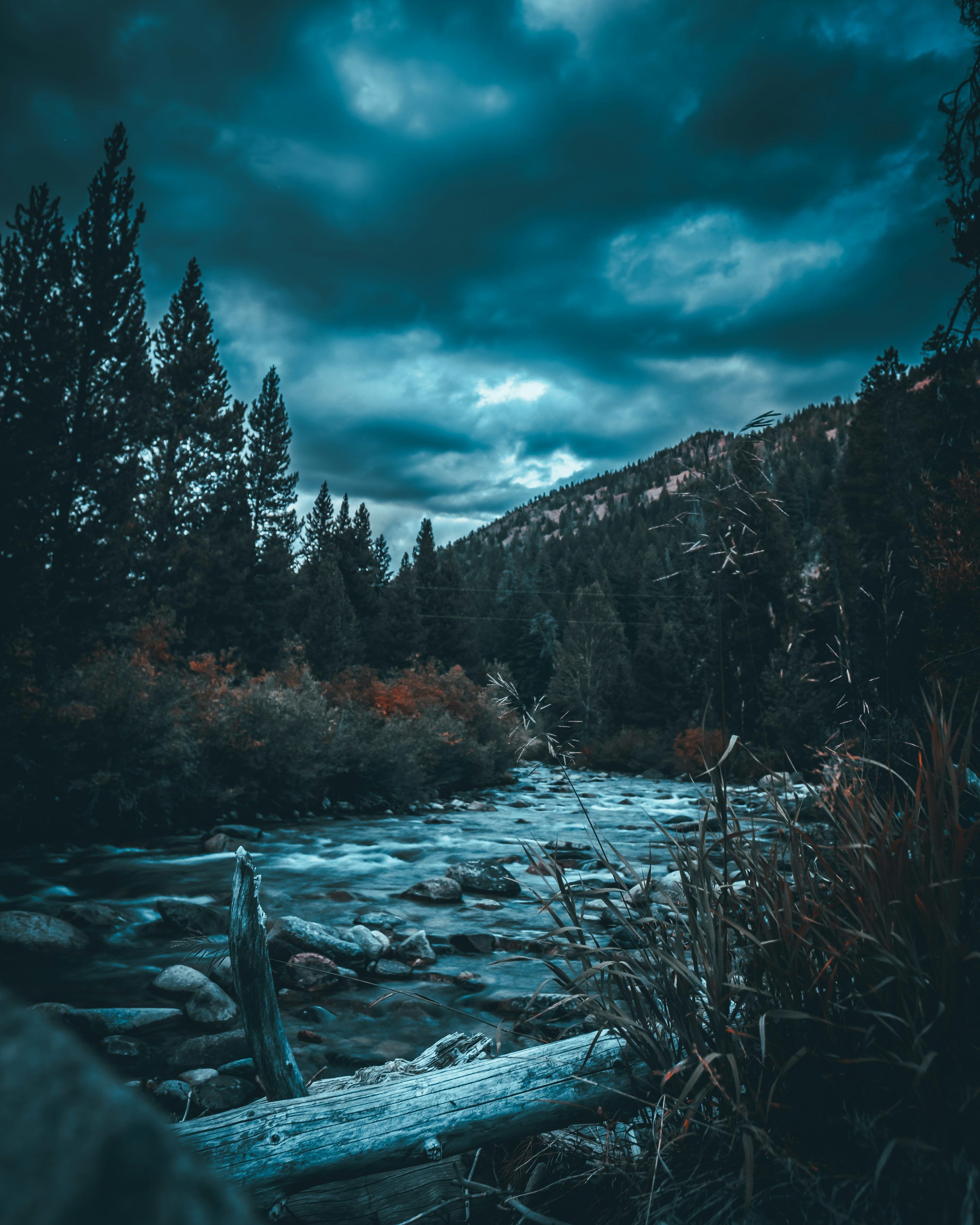 3000x3750 Nature Wallpaper Full HD Picture. Download Free Image