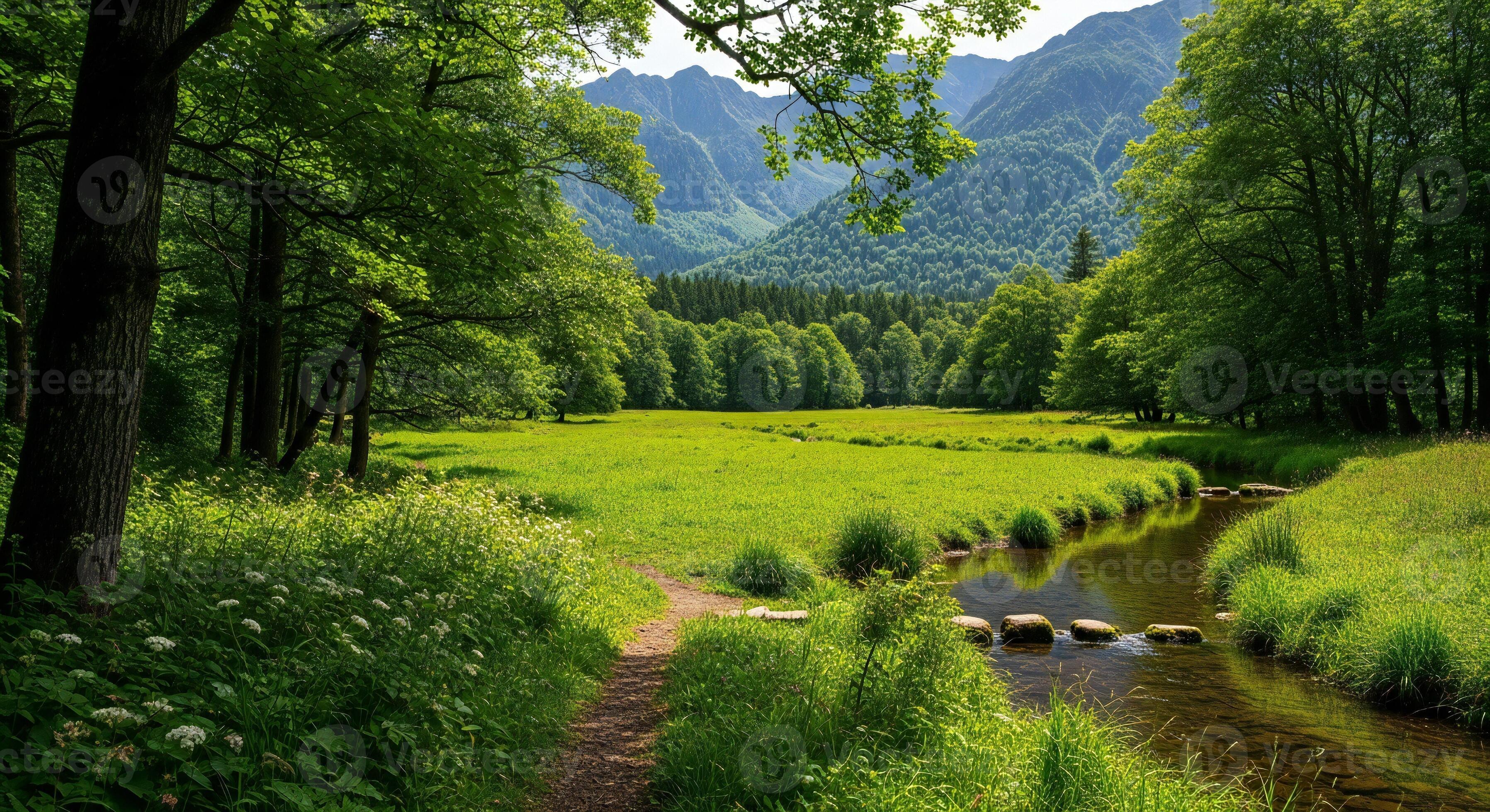 3593x1960 Nature background, Nature wallpaper, Verdant forest opens to a sunlit meadow with a meandering stream and distant mountains