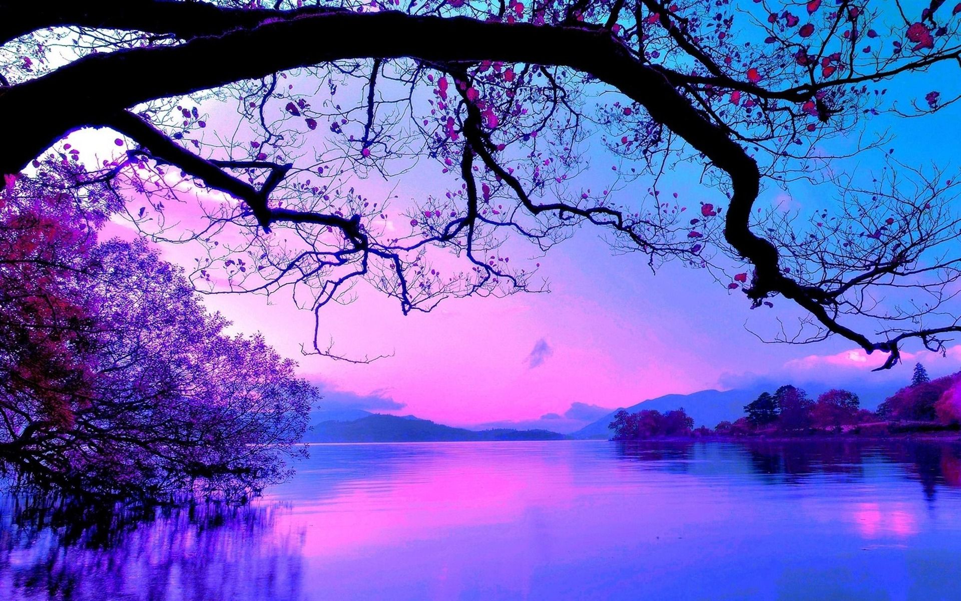 1920x1200 Colors Of Nature Desktop Wallpaper