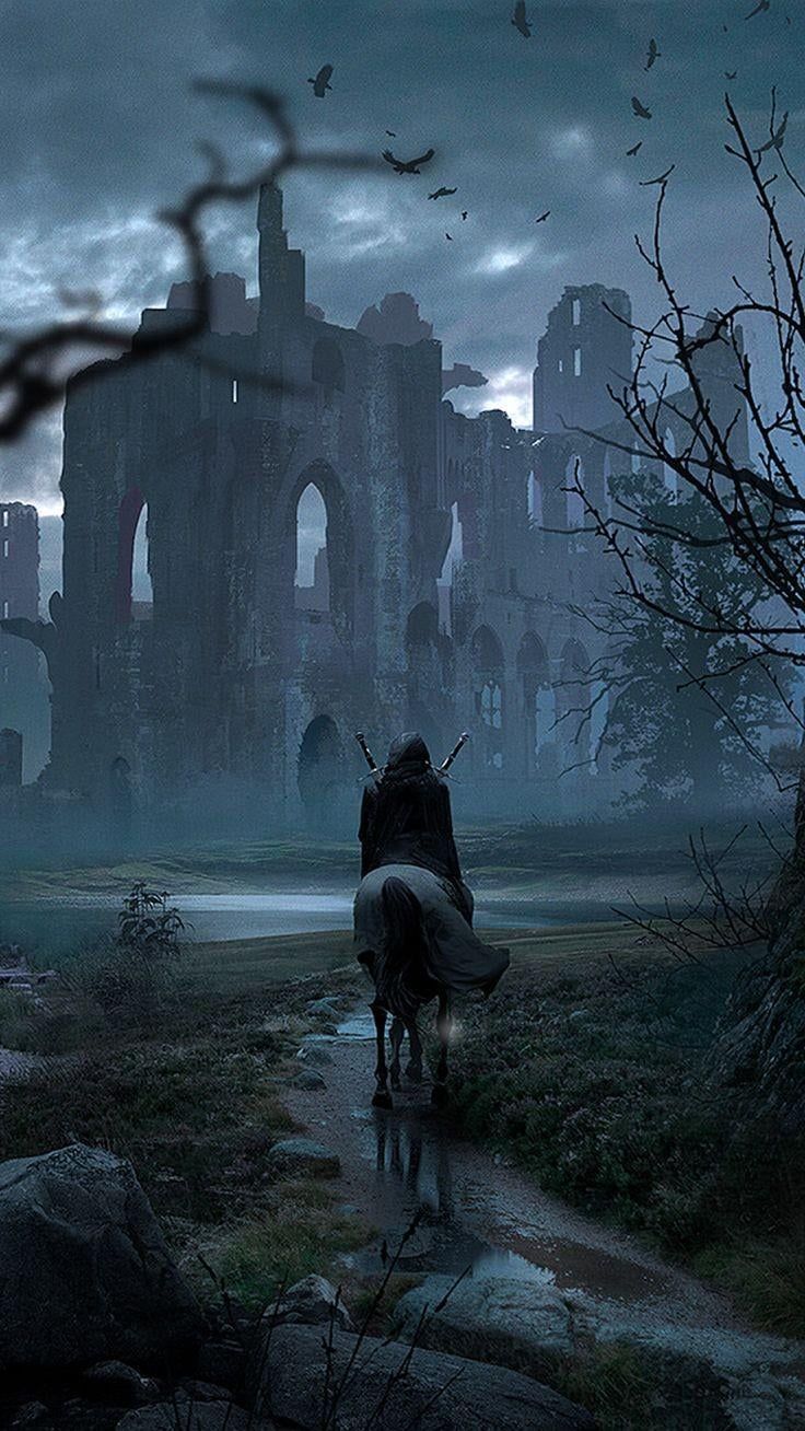 736x1308 Please, give me your best Witcher phone wallpaper. I have this one, but it's been on my phone for too long