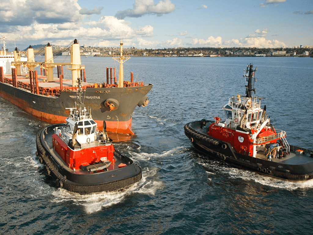 1024x768 Safe harbour Sociological Review