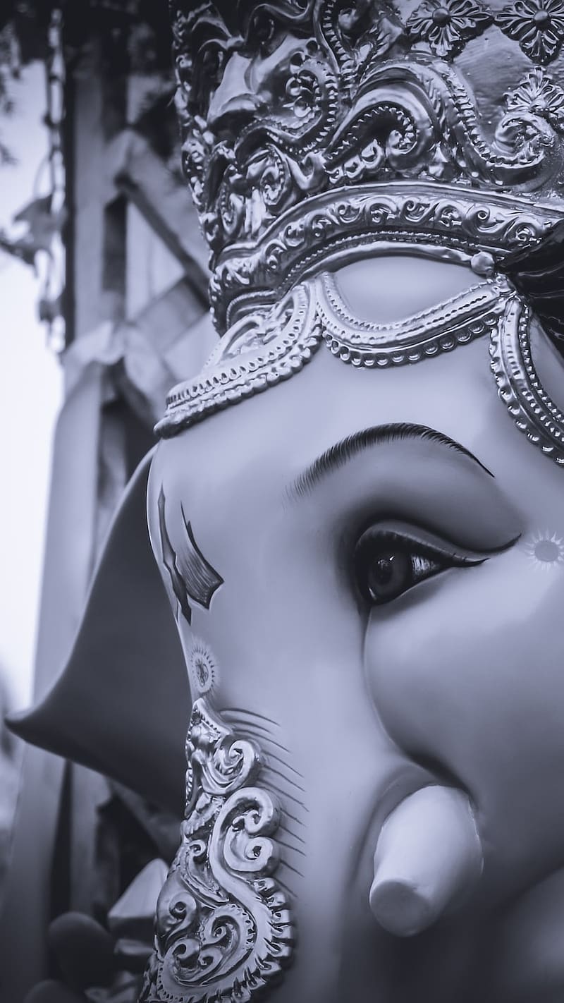 800x1422 Ganpati Bappa Morya Lord Ganesha, ganpati bappa morya, lord ganesha, black and white, HD phone wallpaper