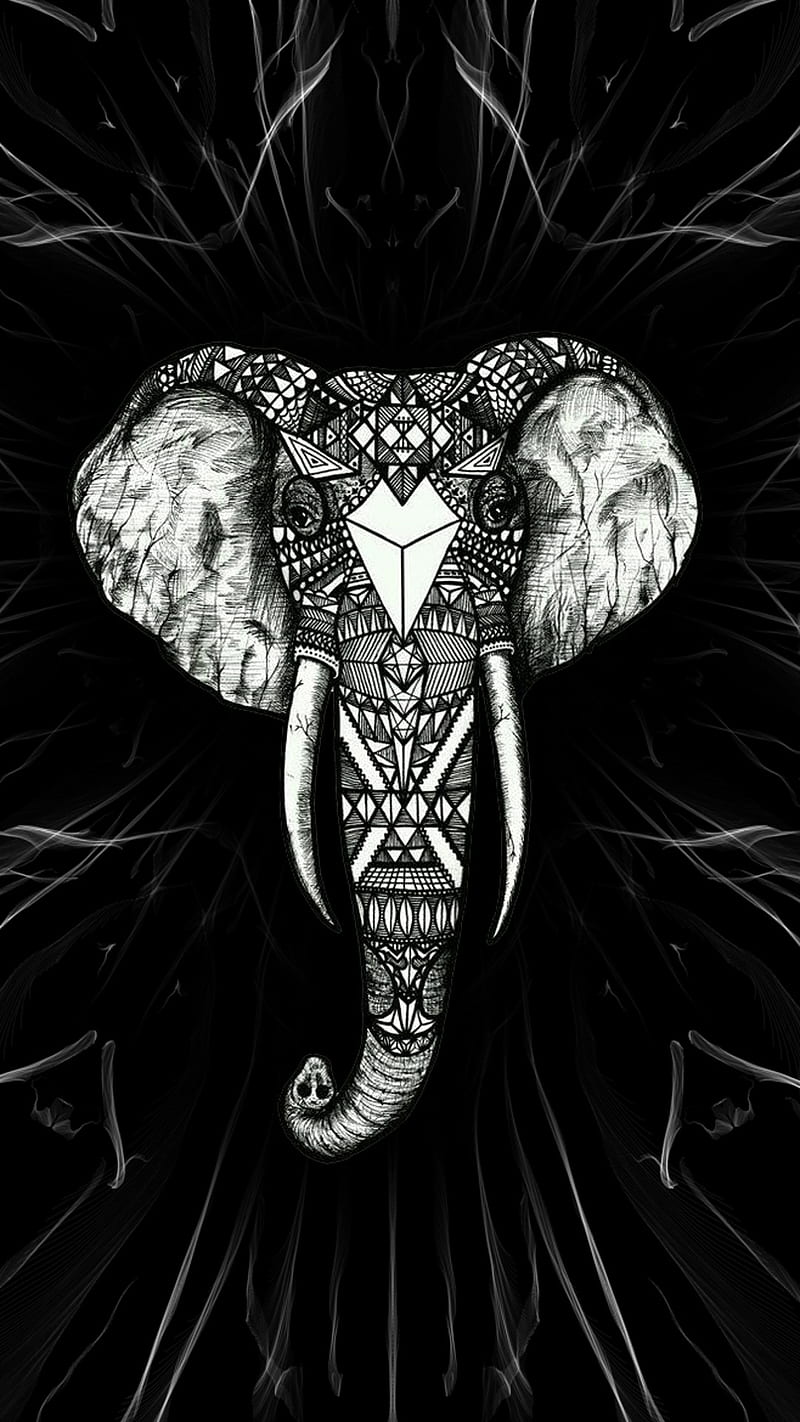 800x1422 Amoled, abstract, elephant, ganesha, HD phone wallpaper
