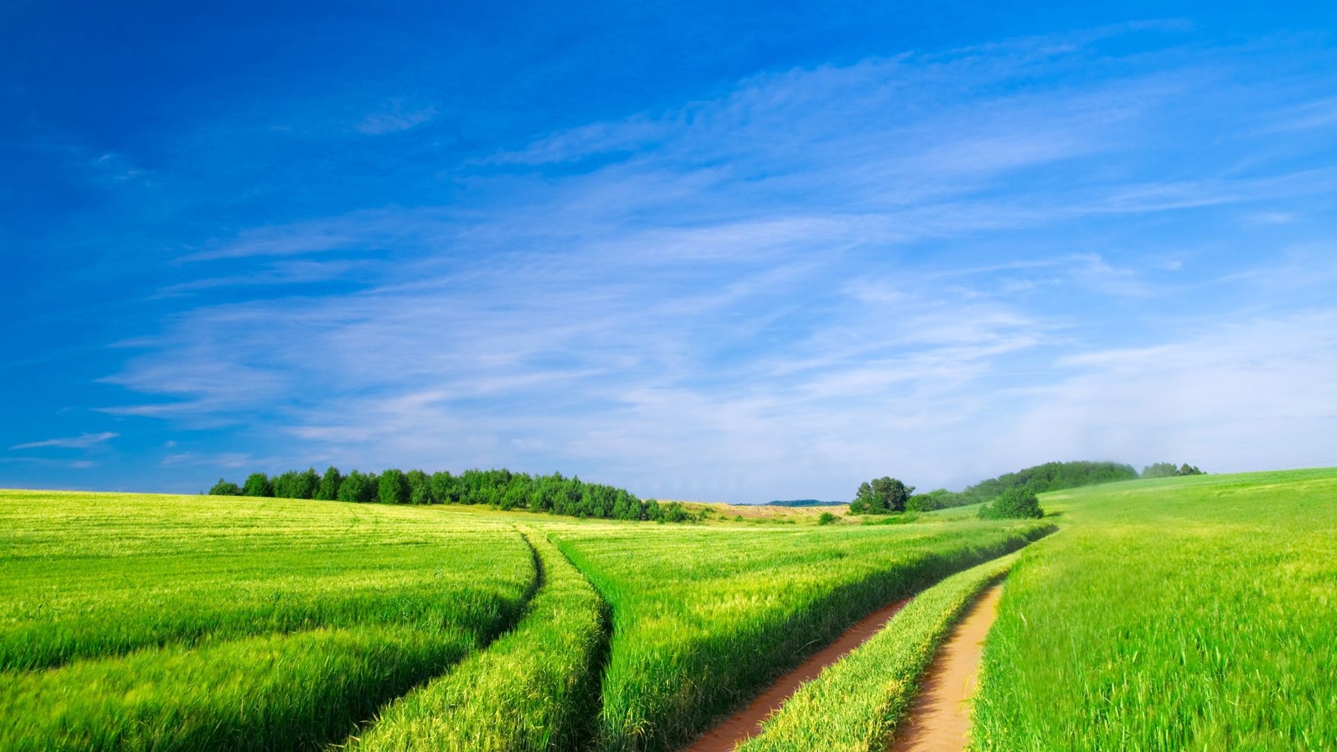 1920x1080 Download Nature Field HD Wallpaperx1080