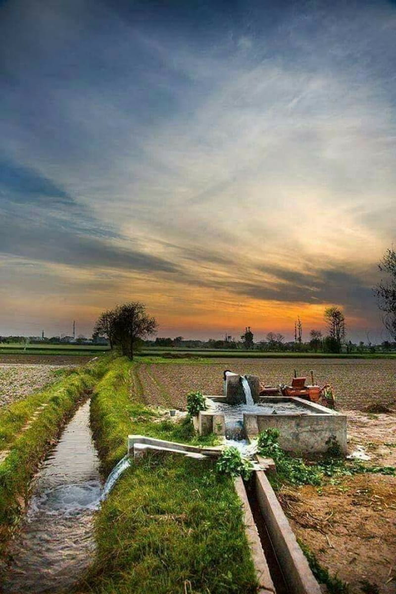 800x1200 Village, background, beach, grass, landscape, HD phone wallpaper