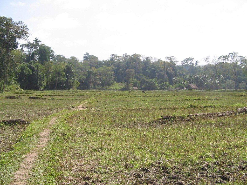 1024x768 On Way To The Caves (2). On Way To Caves Through Khet Khali