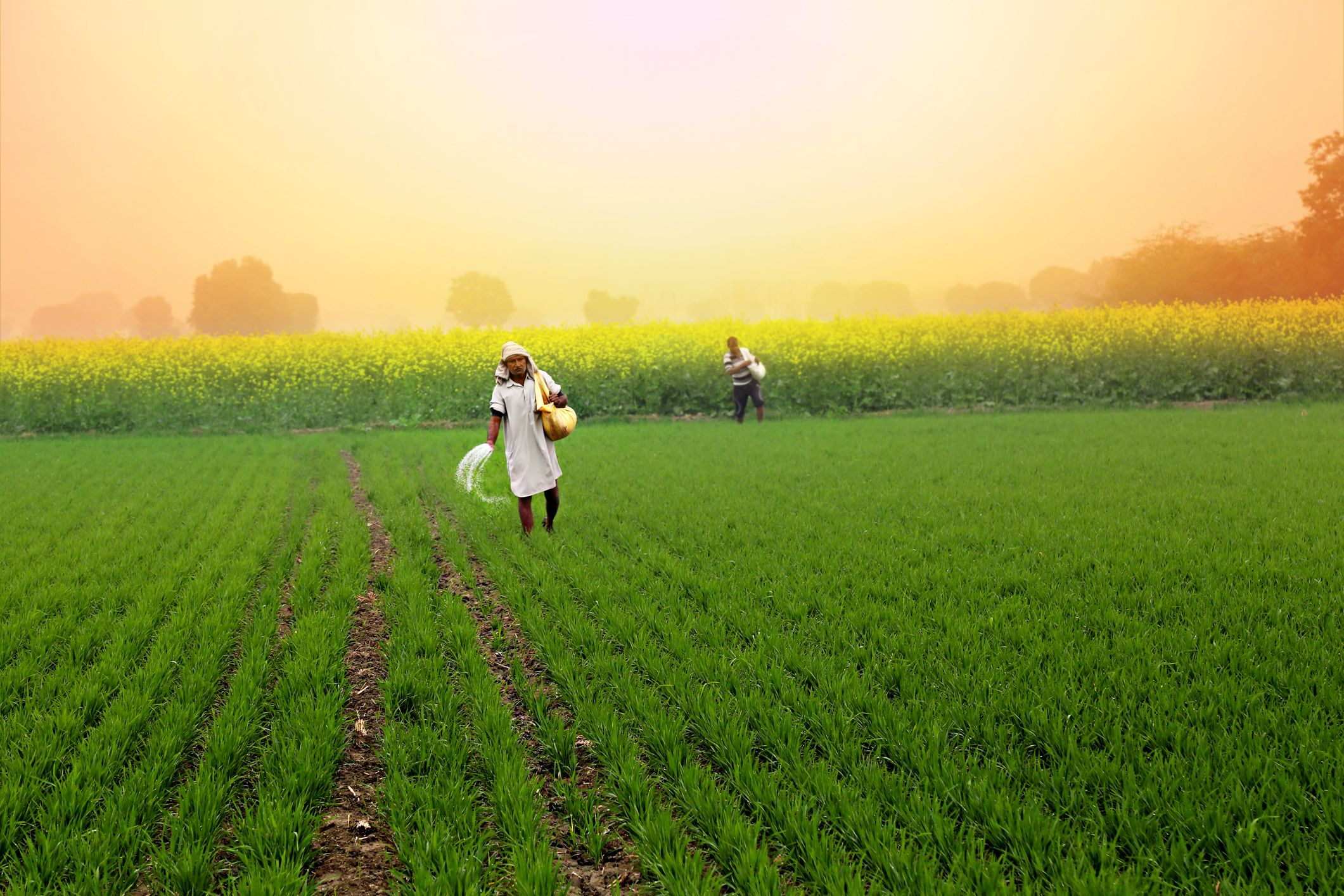 2121x1414 Khet Bachao Abhiyan' reaches 2.71 crore people across India to promote sustainable farming