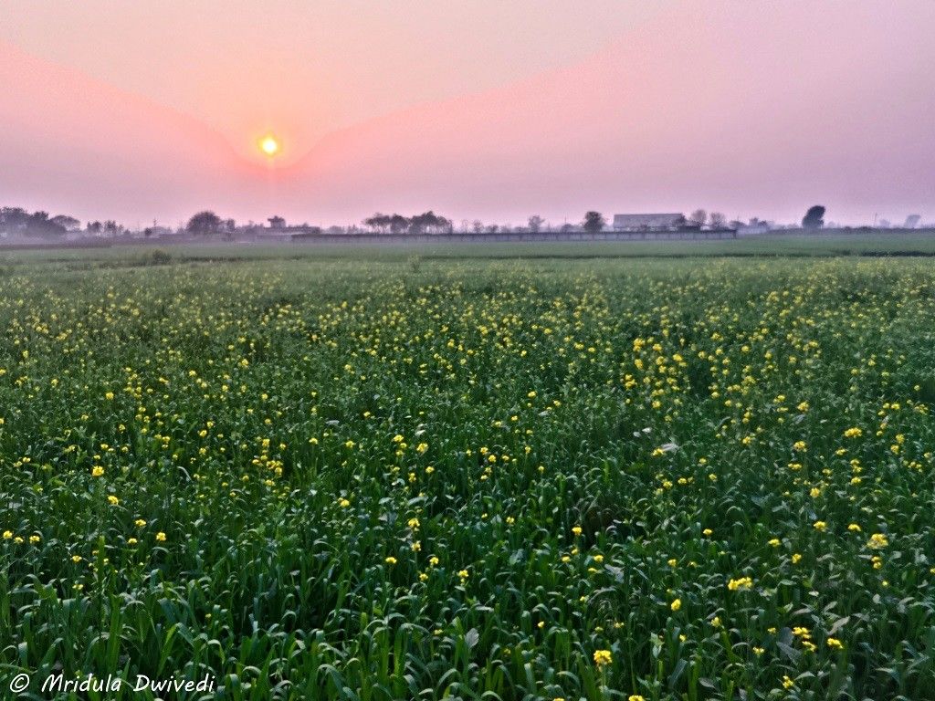 1024x768 Beautiful Sanghol- Glimpses of Rural Life and Buddhist Heritage Tales from India and Abroad