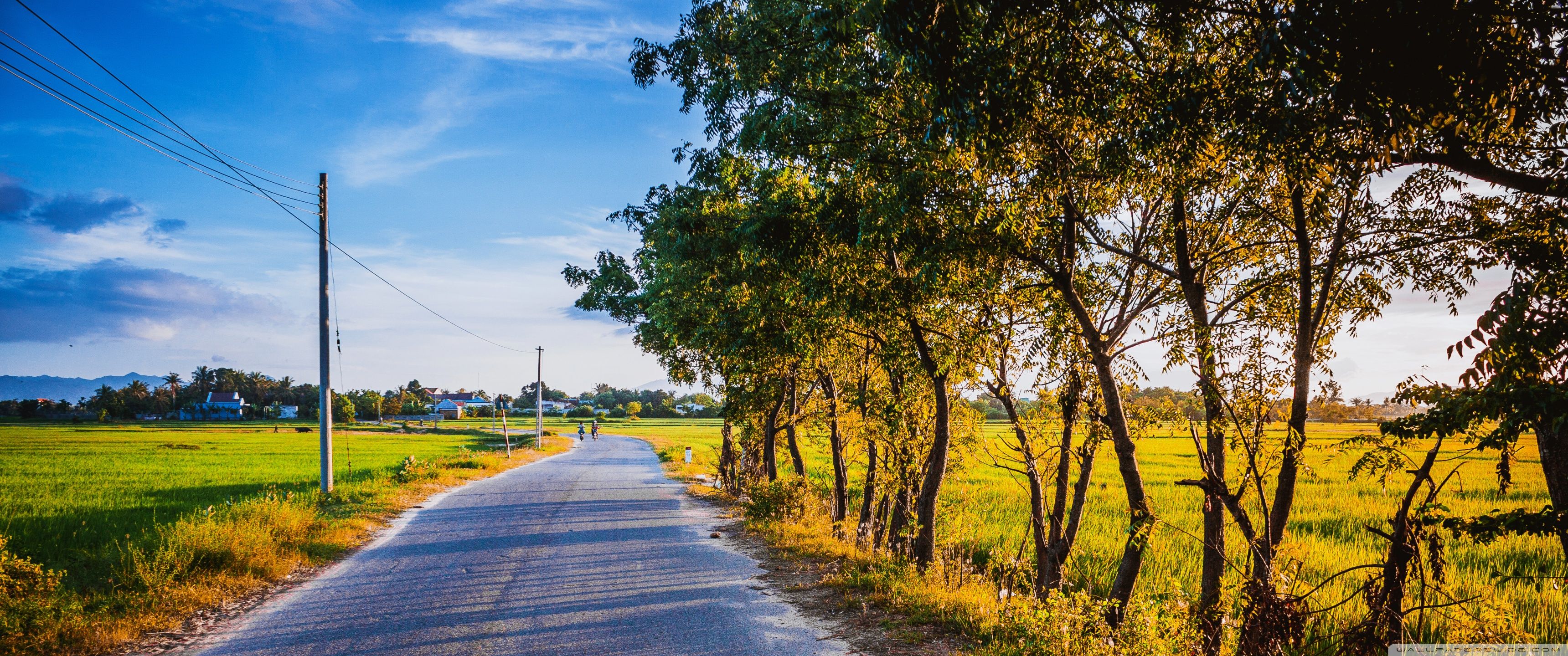 3440x1440 Summer Road 4K UHD Wallpaper for UltraHD Desktop and TV : Widescreen and UltraWide Display : Smartphone and Tablet Devices