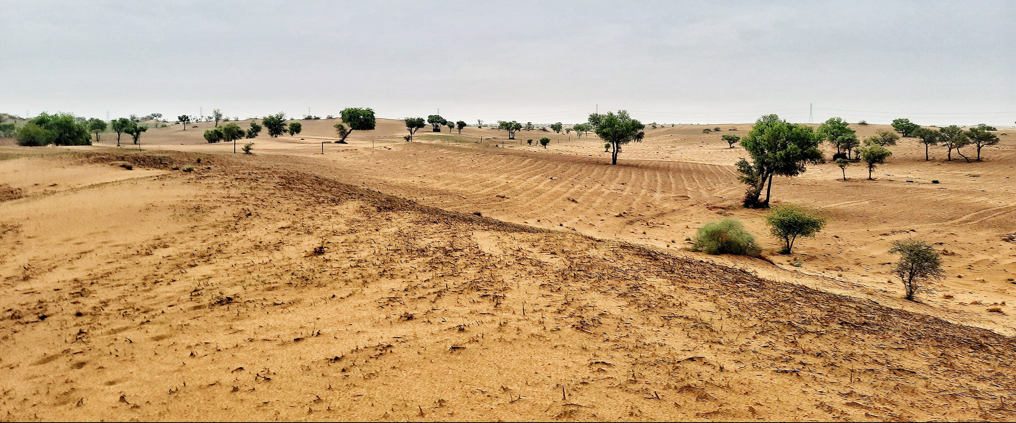 3840x1599 Apna Khet Village Malasar Farm