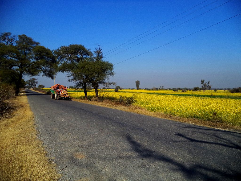 1024x768 Sarson Ke Khet