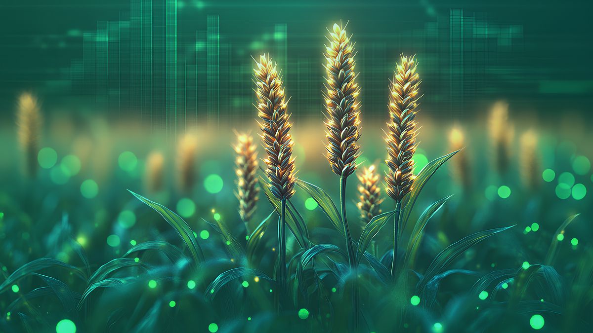 1200x675 What are Soft Commodities: The Hidden Forces That Shape Your Daily Life and Investments