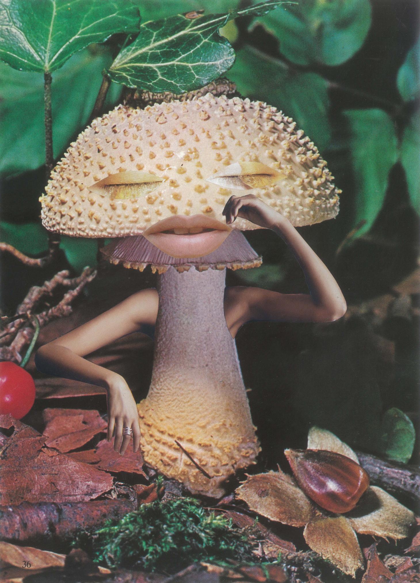 1460x2024 Seana Gavin, 'mindful Mushroom', Courtesy Of The Artist The Art Design And Future Of Fungi Wallpaper & Background Download