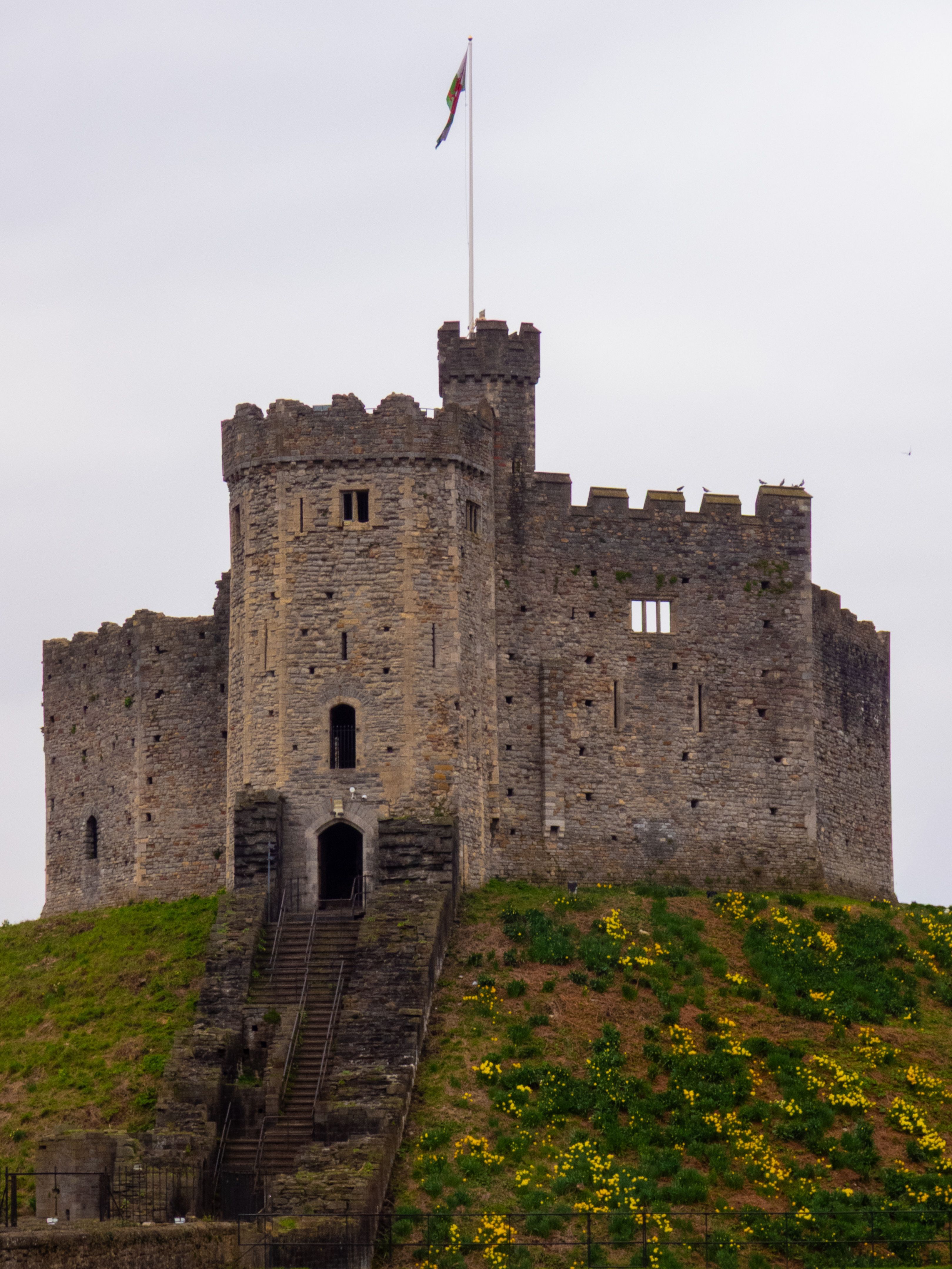3238x4317 Cardiff Castle Photo, Download The BEST Free Cardiff Castle & HD Image