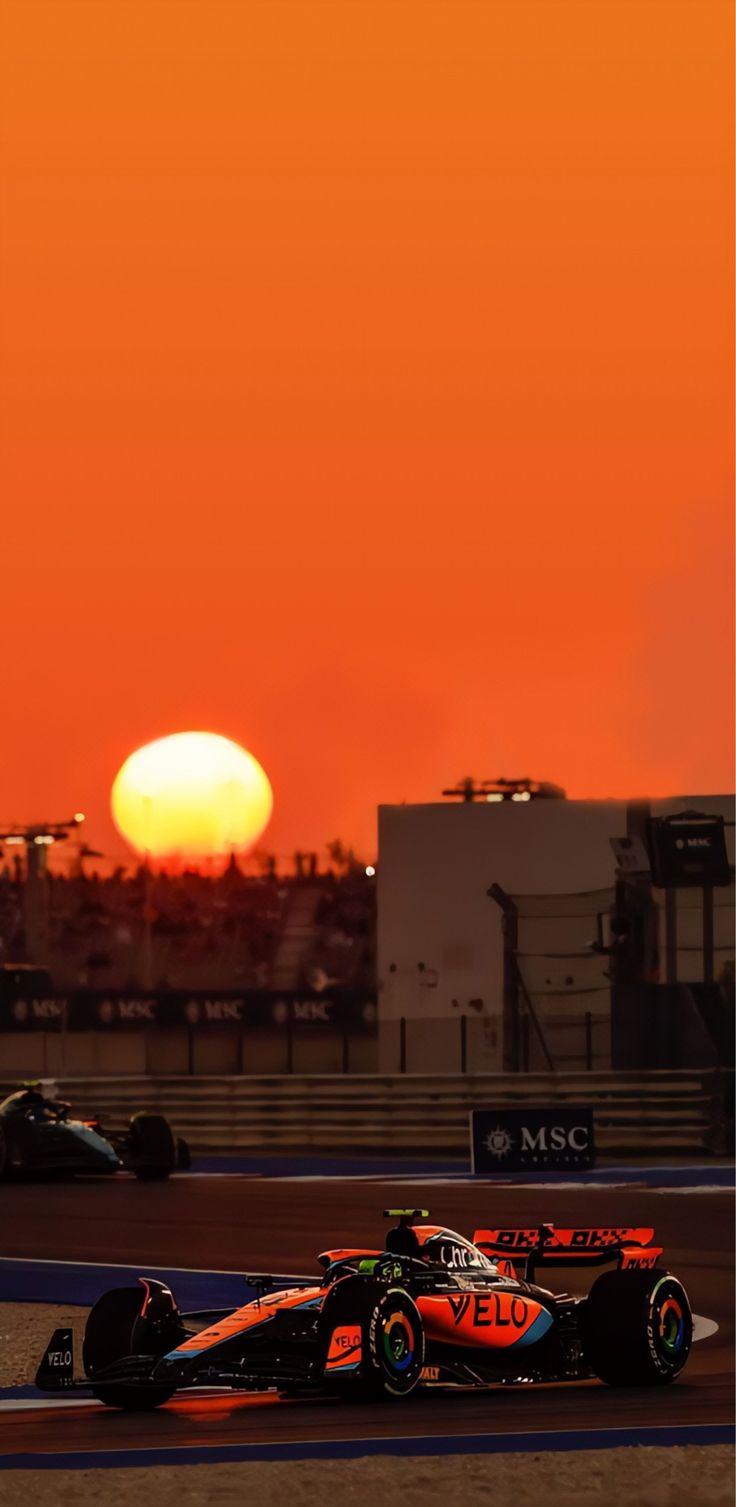 736x1507 Lando Norris Mclaren f1 formula one HD wallpaper LN4