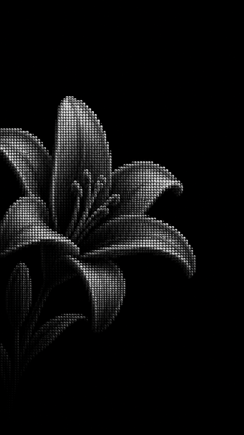 941x1672 The dark bloom wallpaper for nothing phones