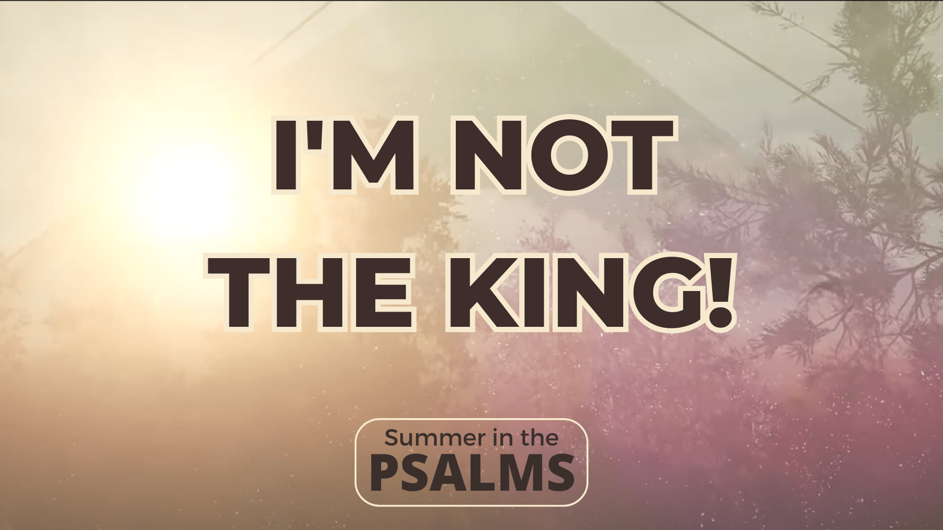 1920x1080 I'm Not The King!
