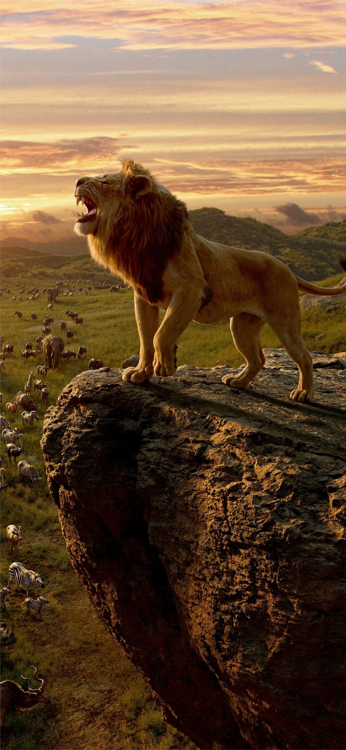 1125x2436 Stephen Pietrusiak Lion King